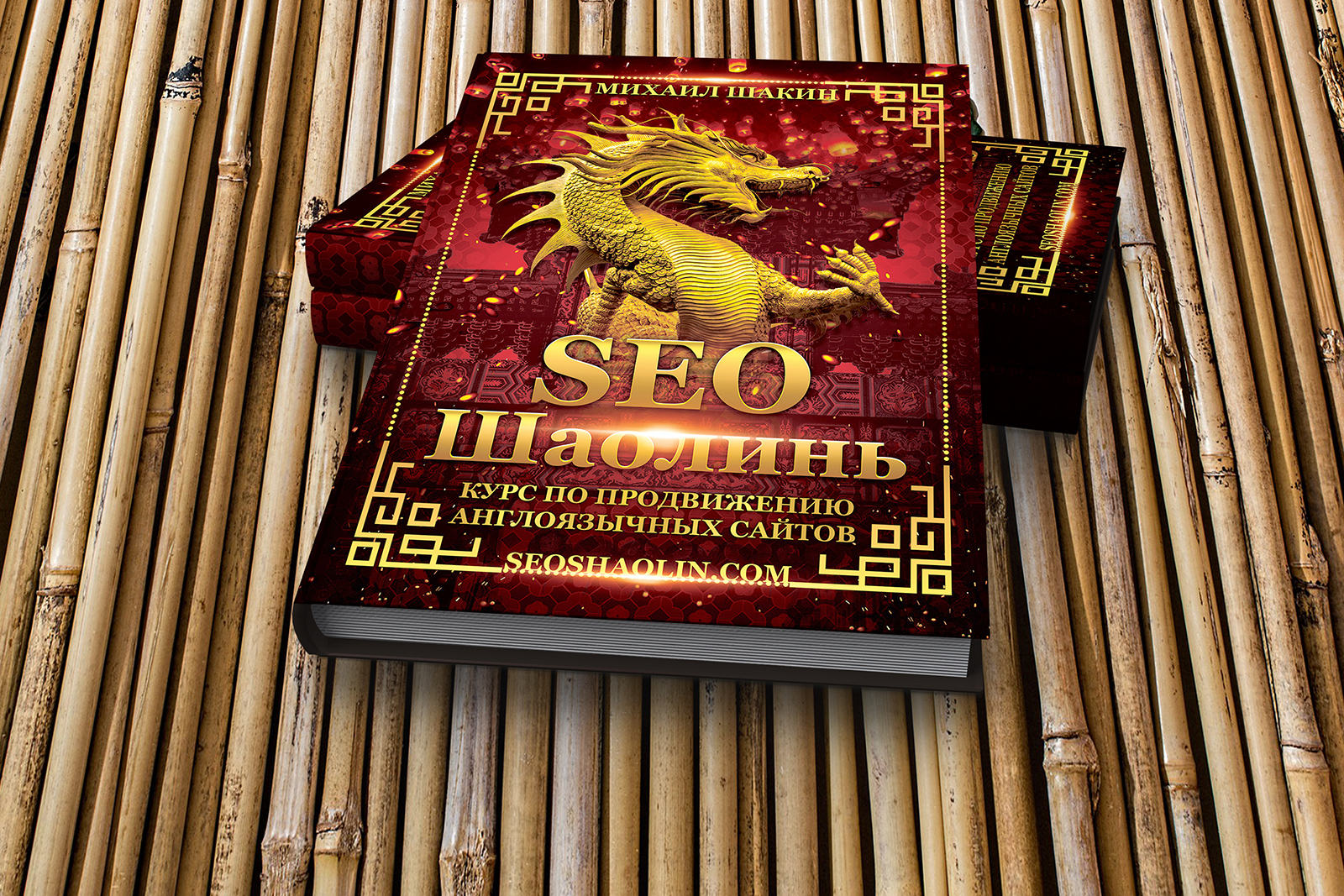 Курс Михаила Шакина по продвижению англоязычных сайтов SEO Шаолинь